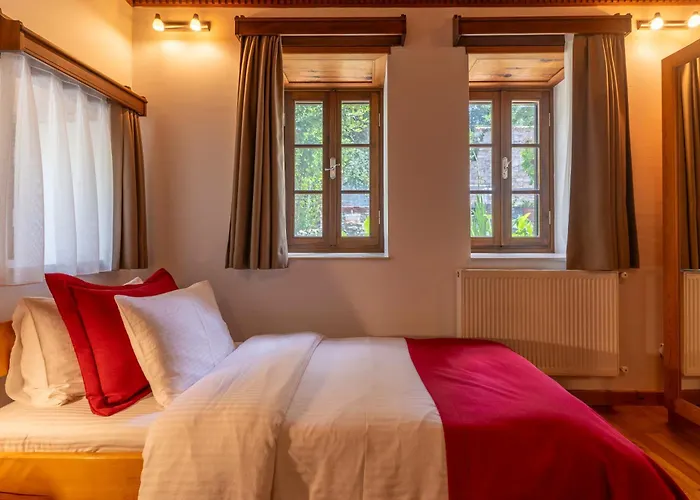 Goldsmith House Vilă *