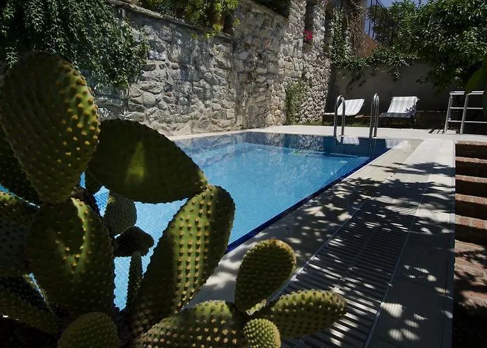 Goldsmith House Willa