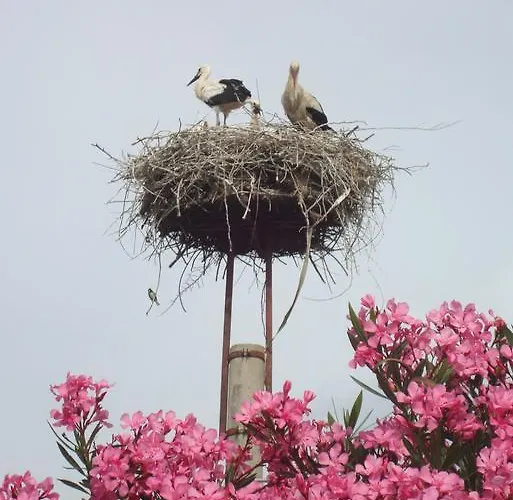 Goldsmith House Villa